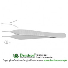 Adson Dissecting Forceps 1 x 2 Teeth Stainless Steel, 12 cm - 4 3/4"